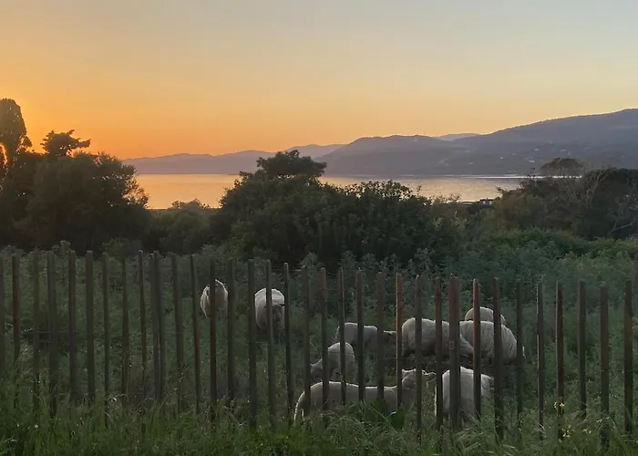 Elégant T3 Sur Le Golfe Du Valinco Appartement